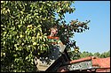 DSC_9769.jpg