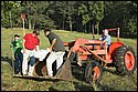 DSC_9774.jpg