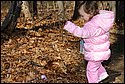 DSC_4675.jpg
