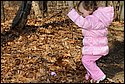 DSC_4676.jpg