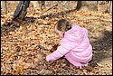 DSC_4677.jpg