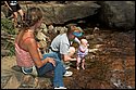 DSC_6383.jpg