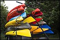DSC_5874.jpg