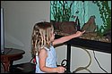 DSC_6596.jpg