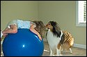 DSC_6632.jpg