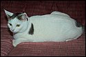 DSC_7485-01.jpg