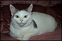 DSC_7487-01.jpg
