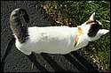 DSC_1525.jpg