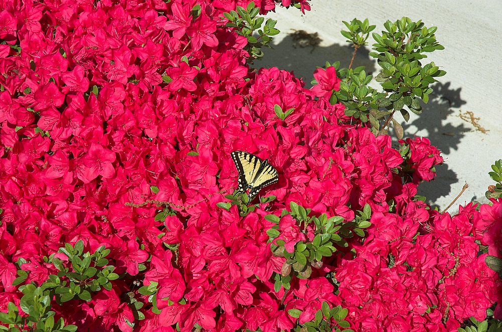 DSC_5056.jpg
