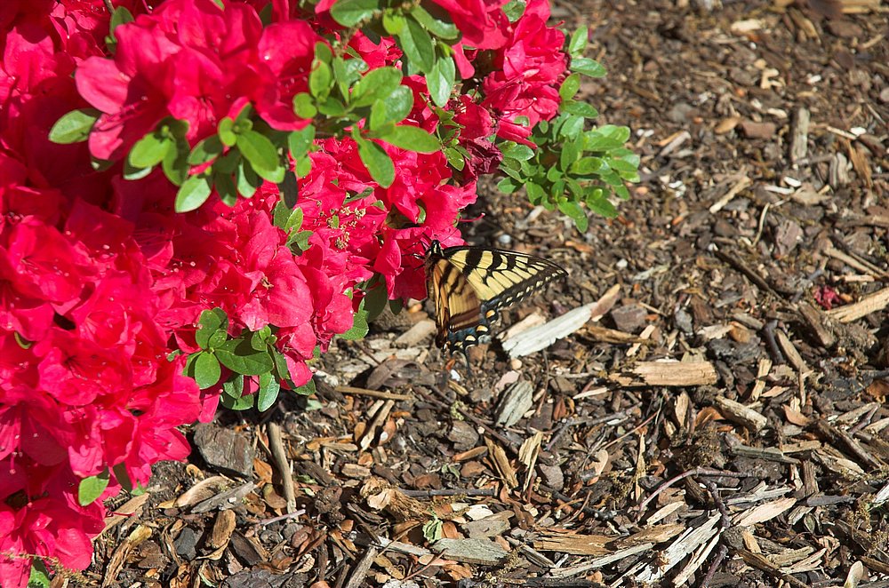 DSC_5058.jpg