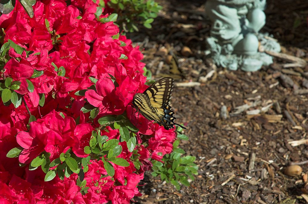DSC_5060.jpg