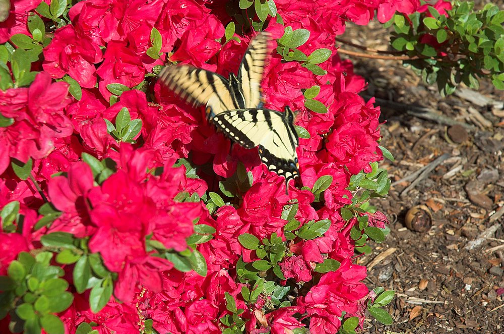 DSC_5063.jpg