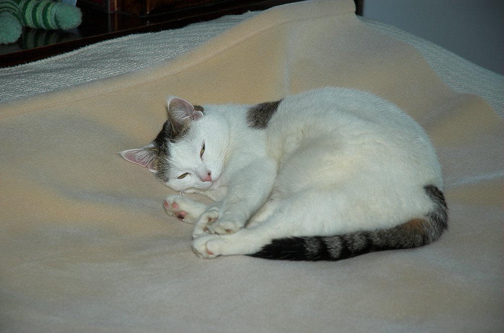 DSC_5081.jpg