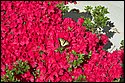 DSC_5056.jpg