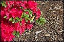 DSC_5059.jpg
