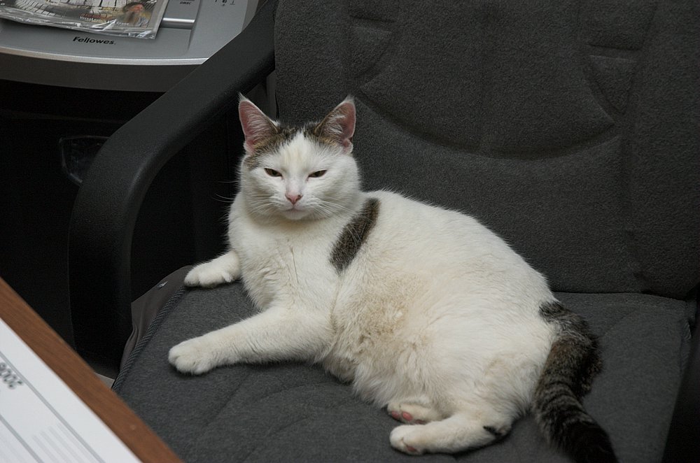 DSC_5299.jpg