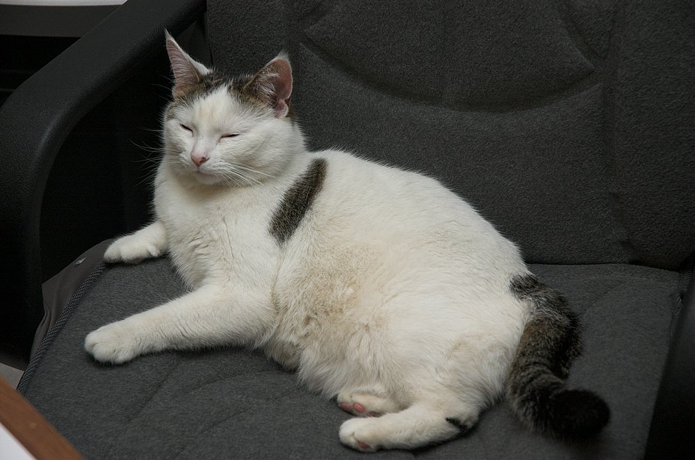 DSC_5300.jpg