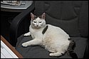 DSC_5299.jpg
