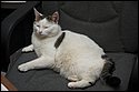 DSC_5300.jpg