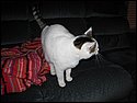IMG_0027.JPG