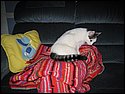 IMG_0028.JPG