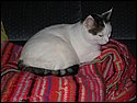 IMG_0029.JPG