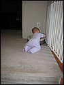 IMG_0095.JPG
