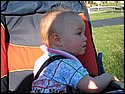 IMG_0335.JPG
