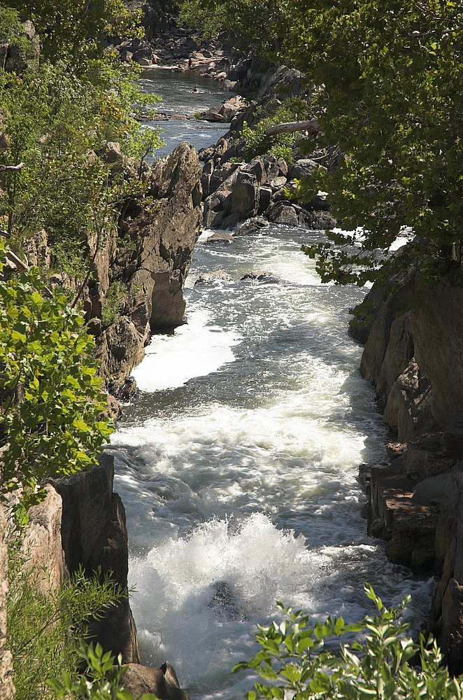 DSC_9687.jpg