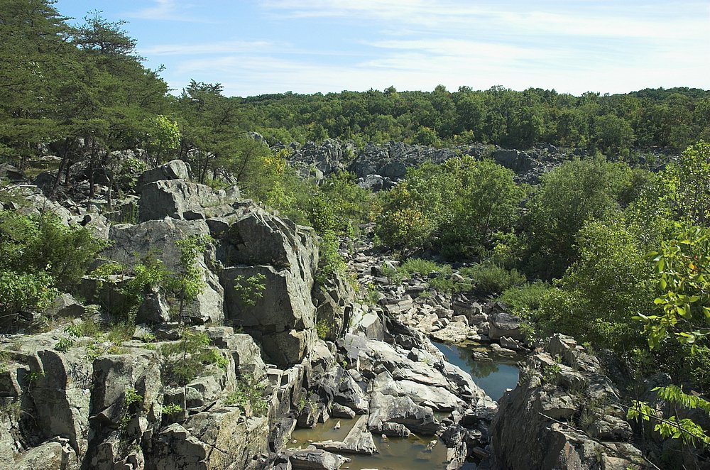 DSC_9701.jpg