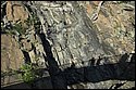 DSC_9699.jpg