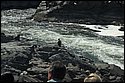 DSC_9706.jpg