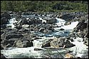 DSC_9707.jpg
