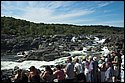 DSC_9708.jpg