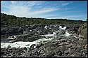 DSC_9711.jpg