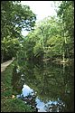 DSC_9737.jpg