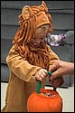 DSC_0300.jpg