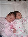 IMG_1167.JPG