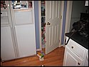 IMG_1174.JPG