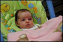 DSC_2301.jpg