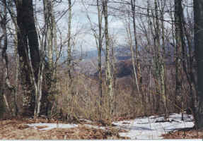 Vista view from Flat Top.jpg (302197 bytes)