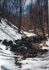 small creek.jpg (236156 bytes)