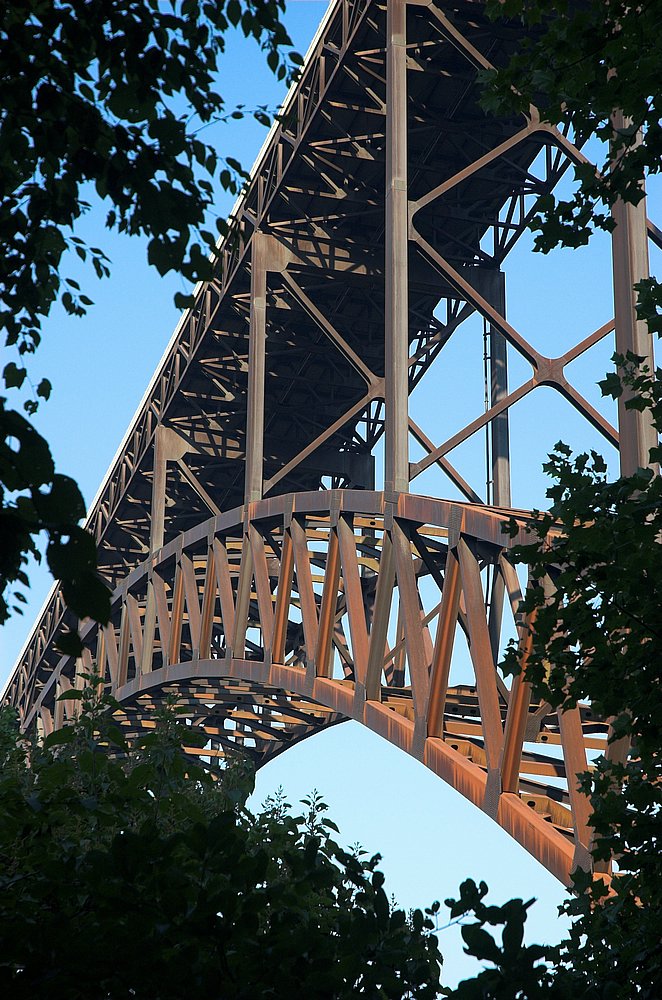 DSC_9837.jpg