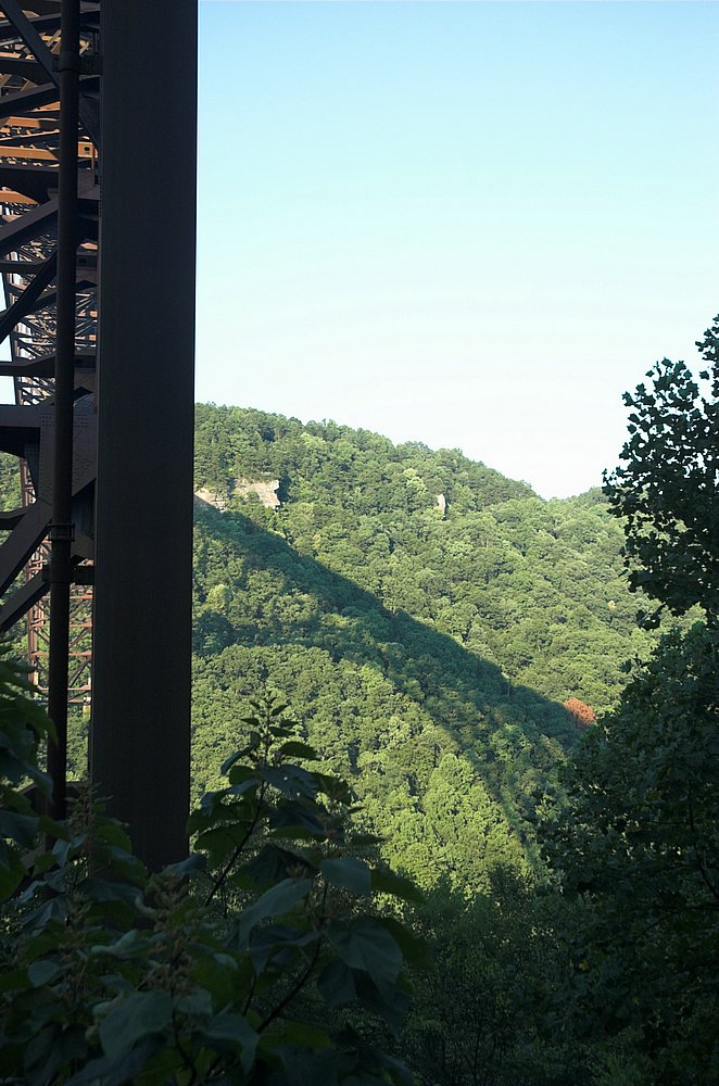 DSC_9840.jpg