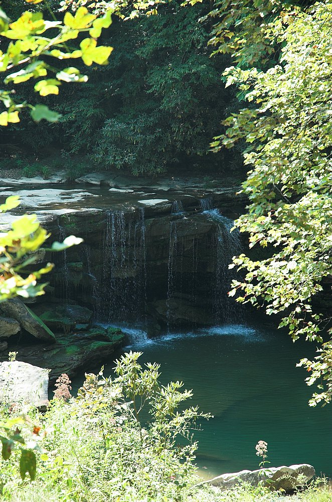 DSC_9861.jpg
