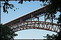 DSC_9832.jpg
