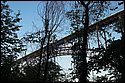 DSC_9834.jpg