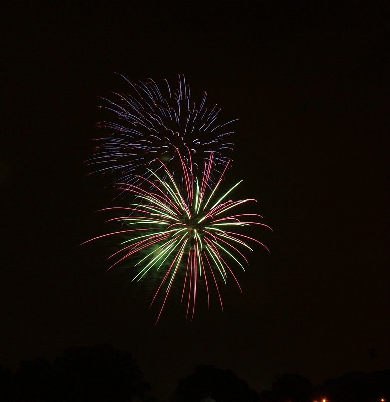 DSC_0456.jpg