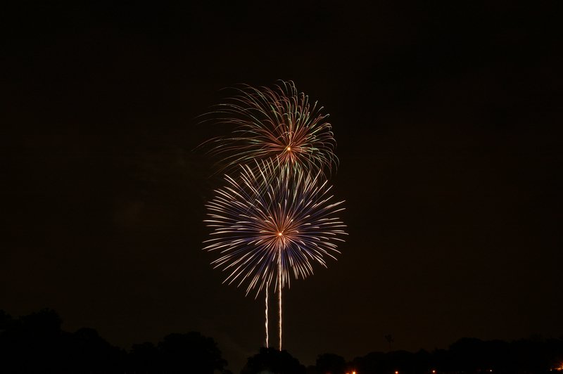 DSC_0459.jpg