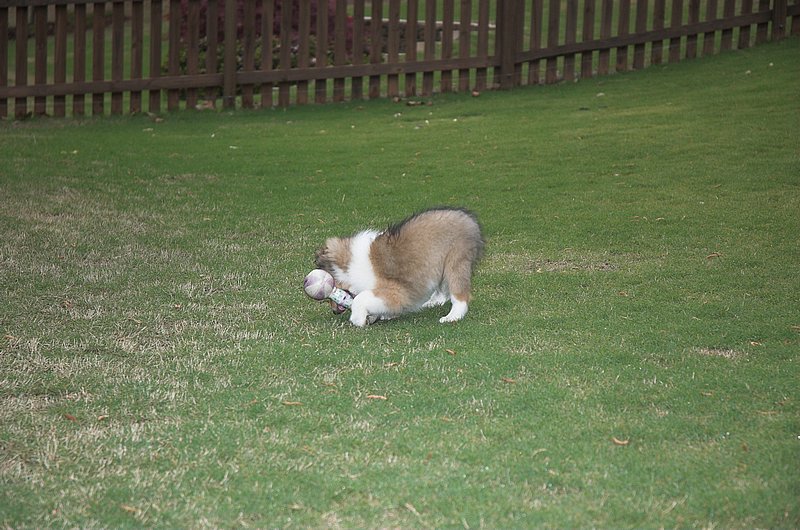 DSC_2828-01.jpg